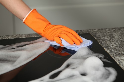 Professional rug cleaning in a bright living room