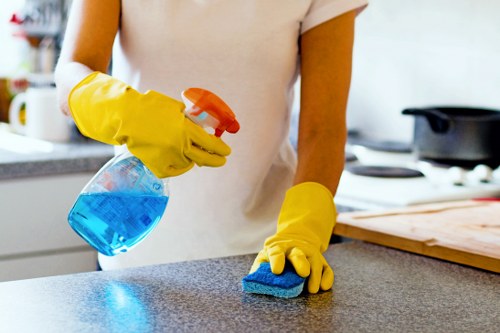 Professional sofa cleaning for a fresh living room sofa