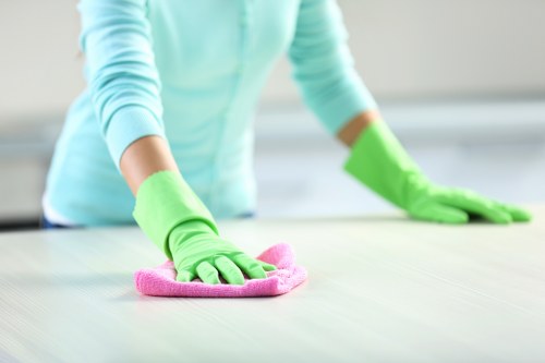 Freshly cleaned carpet with soft fibers and even texture