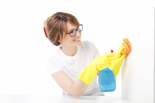 Specialist cleaning of windows and fixtures after building work