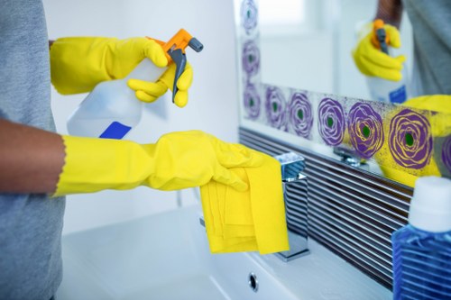 Cleaning supplies for mattress stain removal