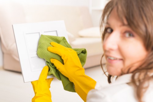 Professional cleaning supplies used for Airbnb turnovers