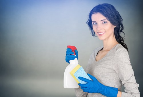Professional deep cleaning of a bright home interior